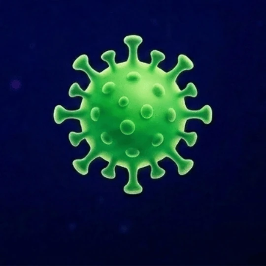 Injuria
